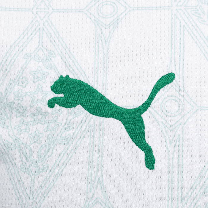 Camisa Palmeiras 2025/26 II